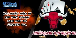 Bài Ngầu Hầm Bí Kíp Trở Thành Cao Thủ Từ Chuyên Gia