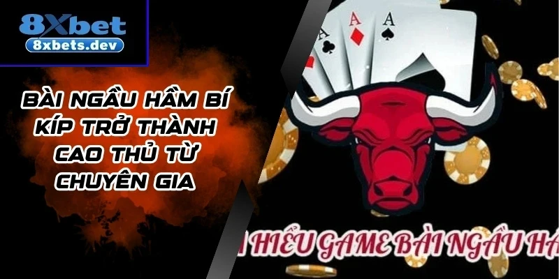 Bài Ngầu Hầm Bí Kíp Trở Thành Cao Thủ Từ Chuyên Gia