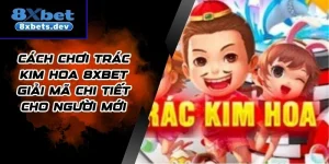 Cách Chơi Trác Kim Hoa 8Xbet Giải Mã Chi Tiết Cho Người Mới